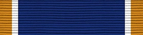 NJROTC Achievement Medal