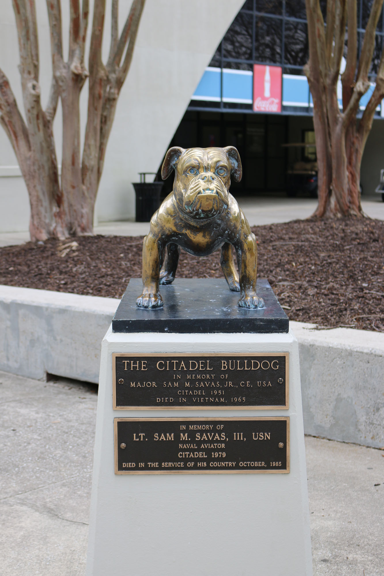 The Citadel photo 13