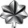 Lieutenant Colonel Lieutenant Colonel